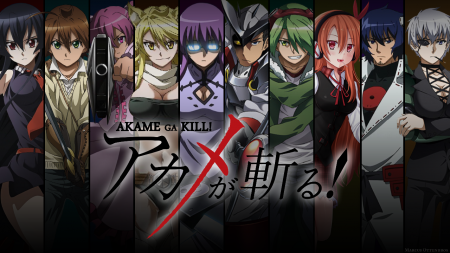 Akame Ga Kill 6,6/10